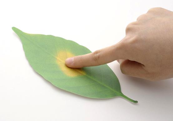 Color-changing leaves